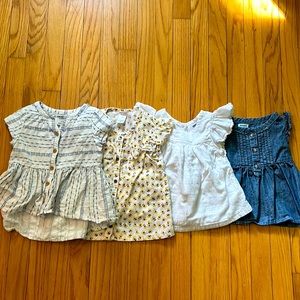 Toddler Girl Shirt Bundle (3T)